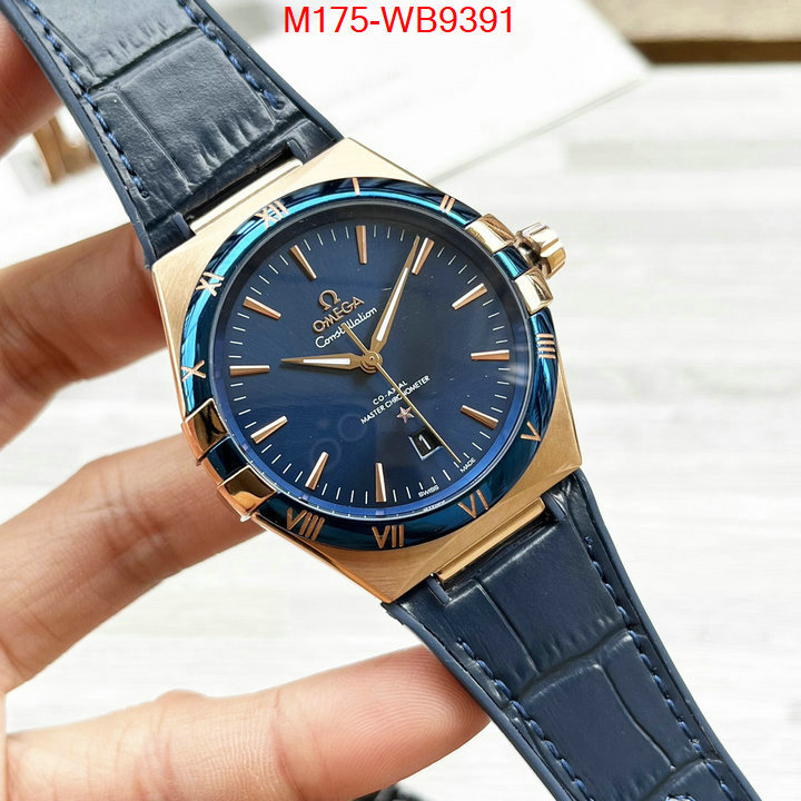 ID: WB9391