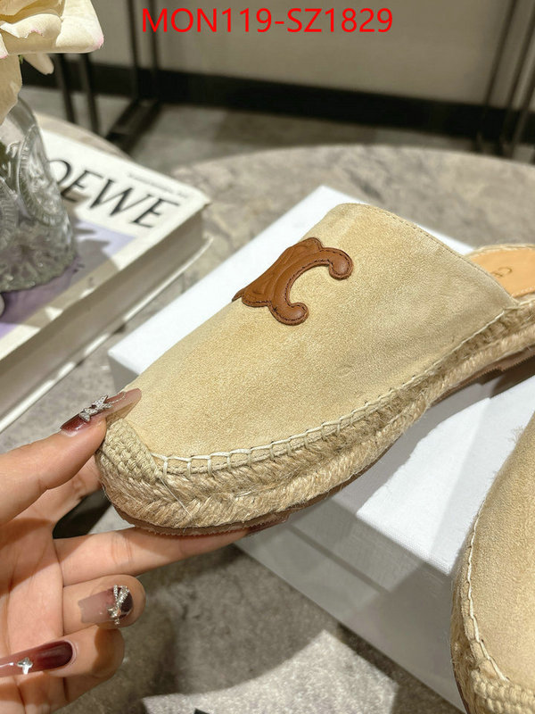 Women Shoes-CELINE what are the best replica ID: SZ1829 $: 119USD
