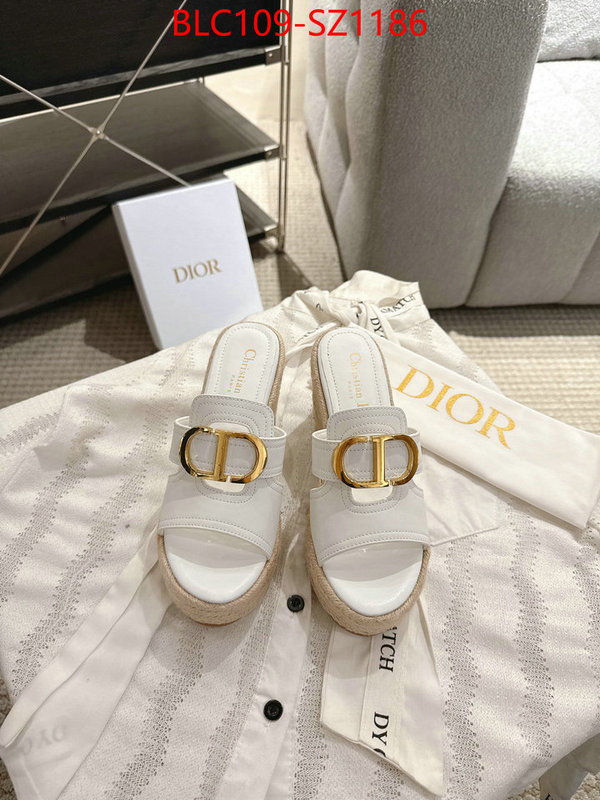 Women Shoes-Dior where to find the best replicas ID: SZ1186 $: 109USD