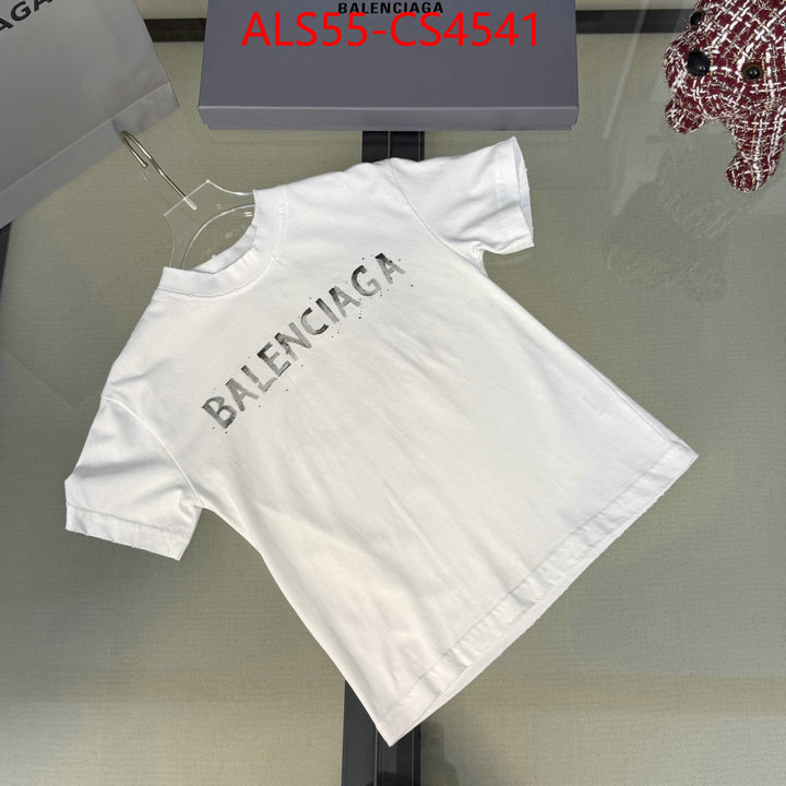ID: CS4541