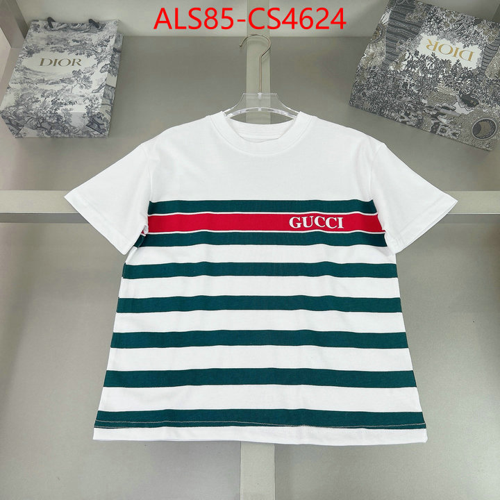 ID: CS4624