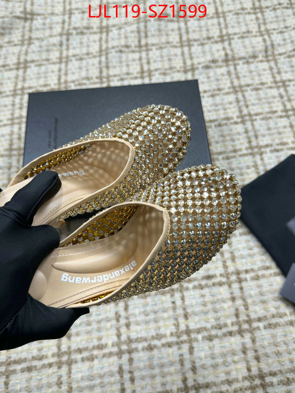 Women Shoes-Alexander Wang what is top quality replica ID: SZ1599 $: 119USD