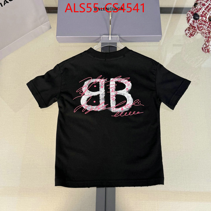 ID: CS4541