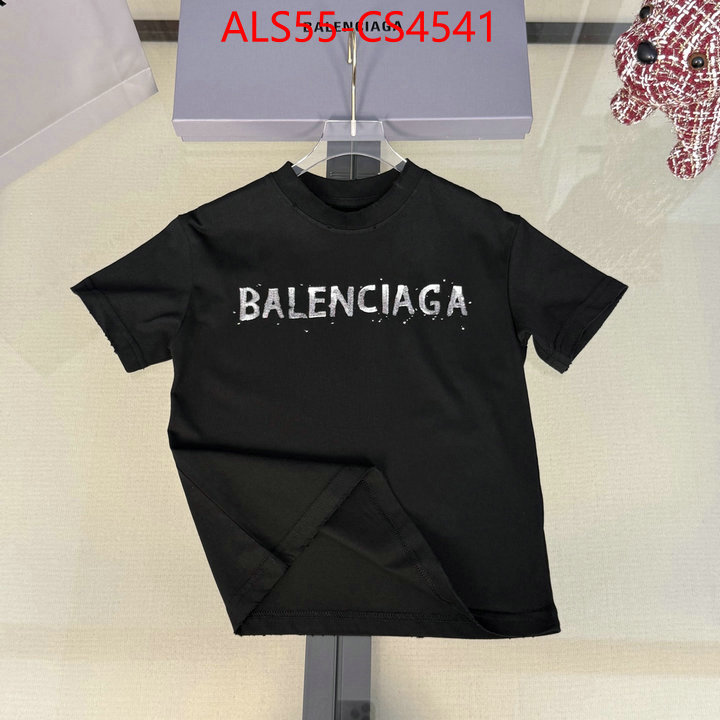 ID: CS4541