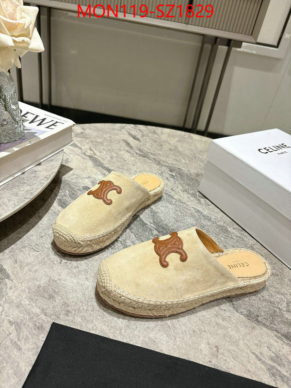 Women Shoes-CELINE what are the best replica ID: SZ1829 $: 119USD