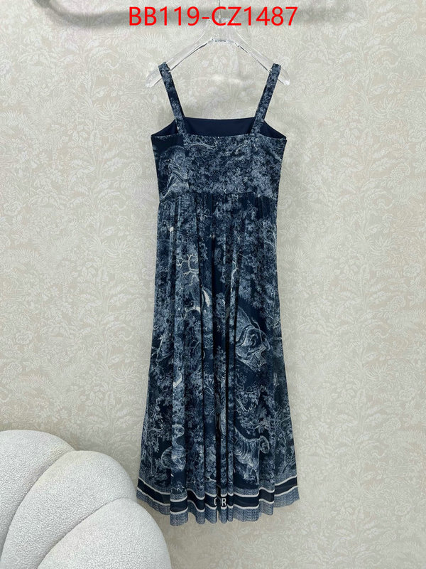 Clothing-Dior fashion designer ID: CZ1487 $: 119USD