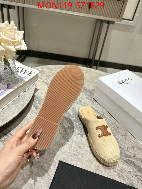 Women Shoes-CELINE what are the best replica ID: SZ1829 $: 119USD