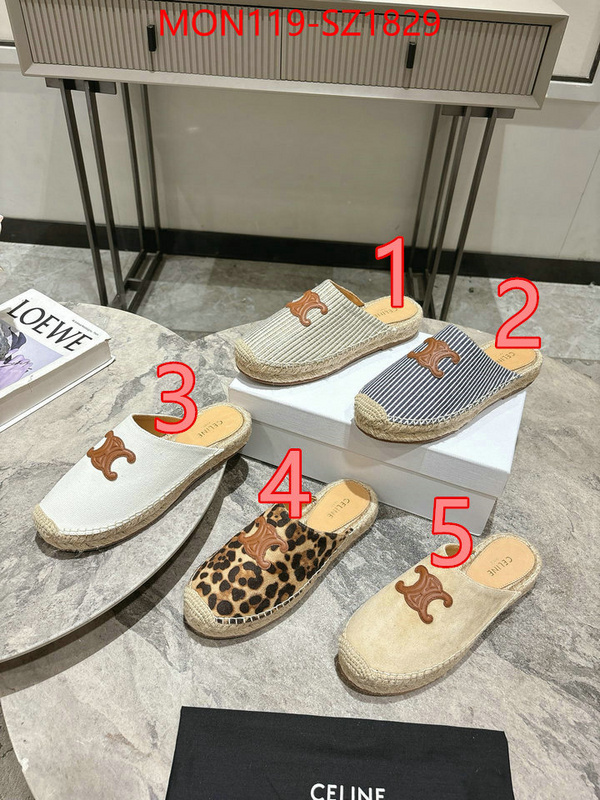 Women Shoes-CELINE what are the best replica ID: SZ1829 $: 119USD