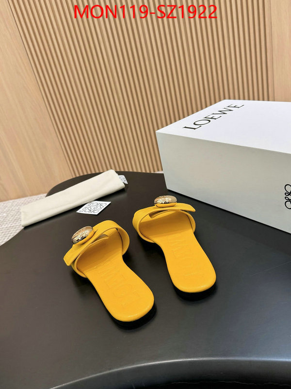 Women Shoes-Loewe new ID: SZ1922 $: 119USD