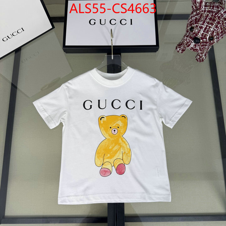 ID: CS4663