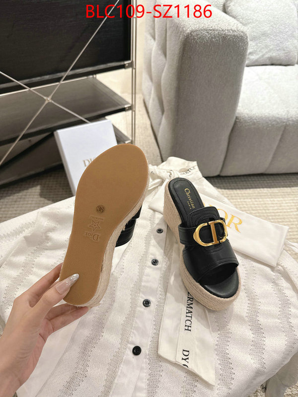 Women Shoes-Dior where to find the best replicas ID: SZ1186 $: 109USD