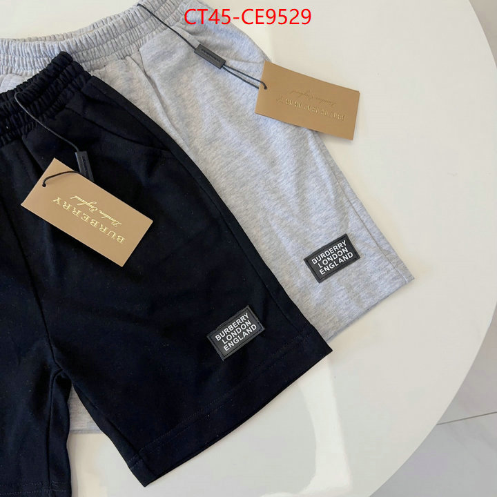 ID: CE9529