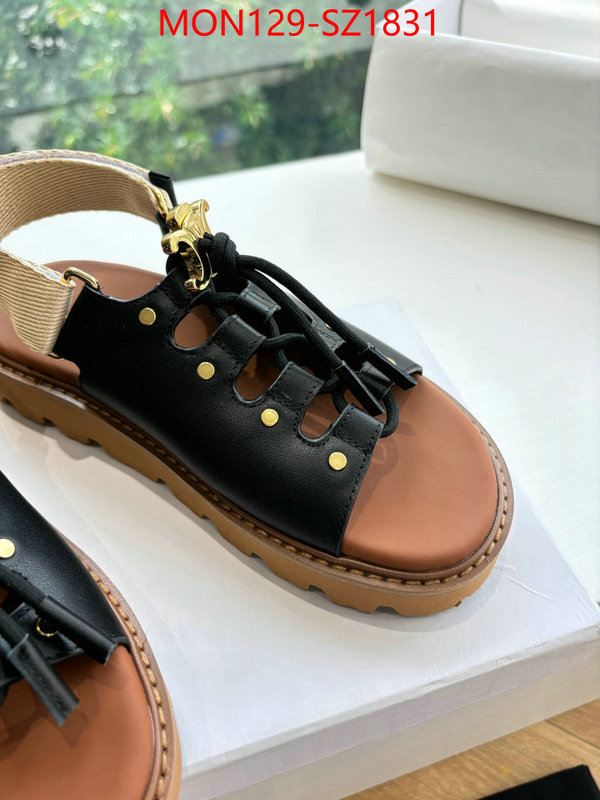 Women Shoes-CELINE supplier in china ID: SZ1831 $: 129USD