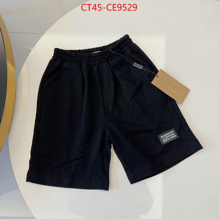 ID: CE9529