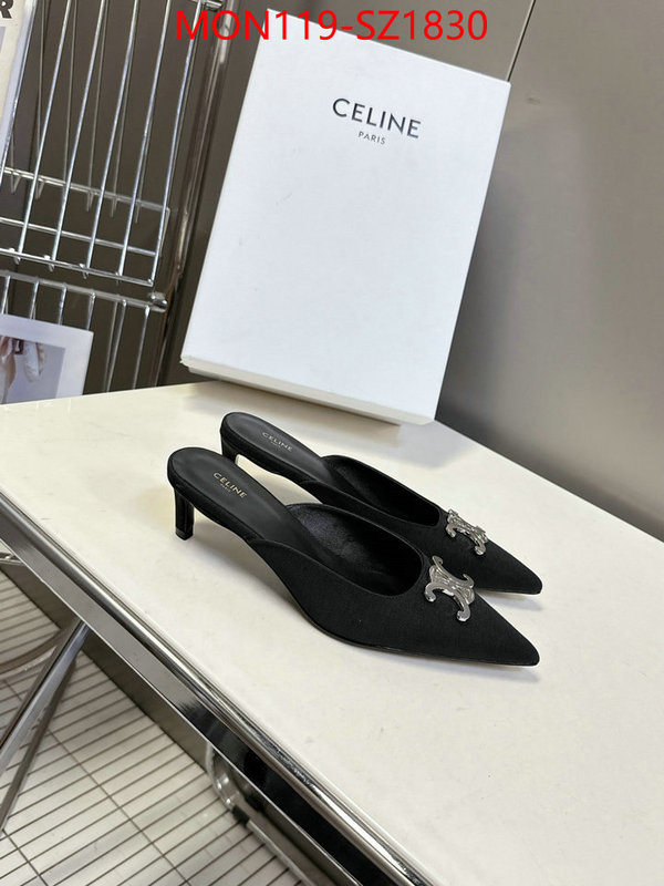 Women Shoes-CELINE sellers online ID: SZ1830 $: 119USD