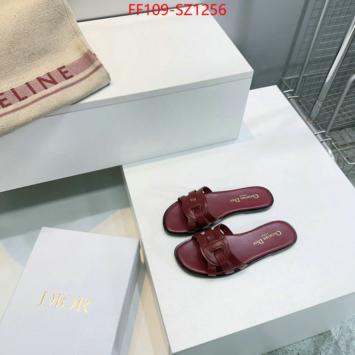 Women Shoes-Dior buying replica ID: SZ1256 $: 109USD