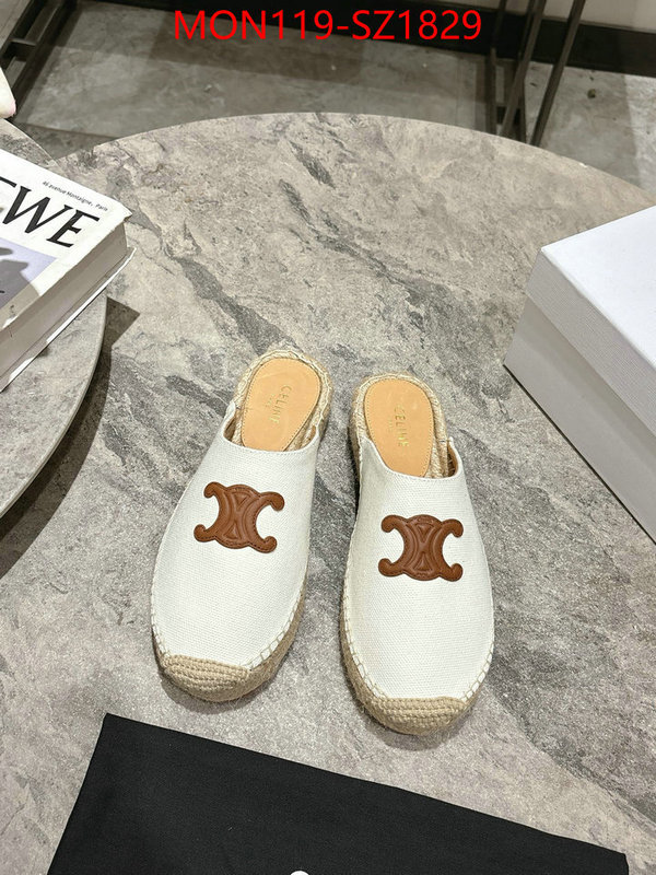 Women Shoes-CELINE what are the best replica ID: SZ1829 $: 119USD
