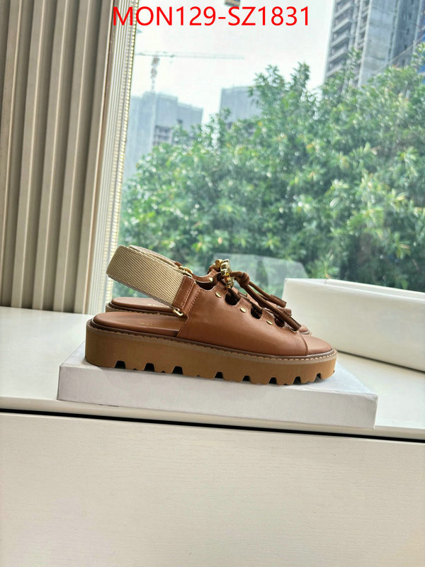 Women Shoes-CELINE supplier in china ID: SZ1831 $: 129USD