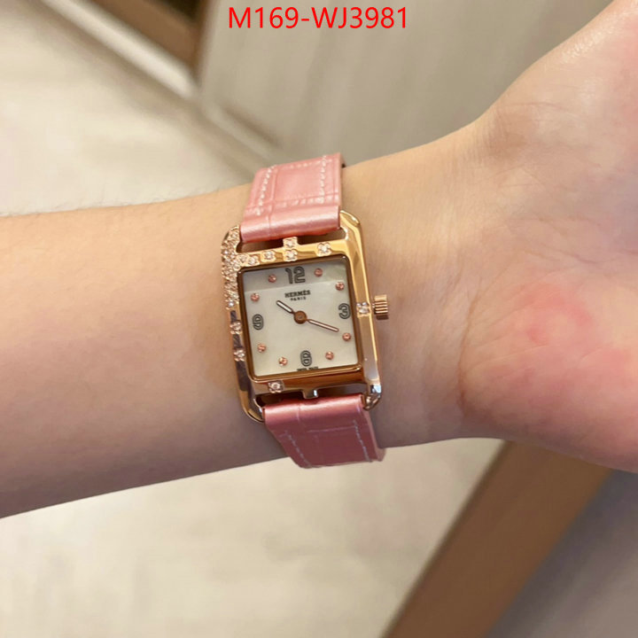 ID: WJ3981