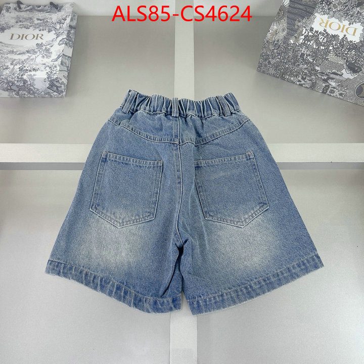ID: CS4624