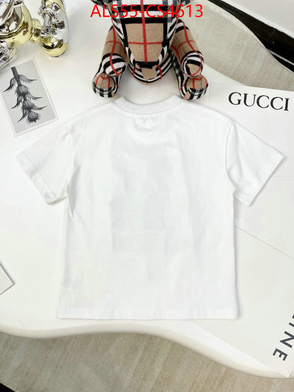 ID: CS4613