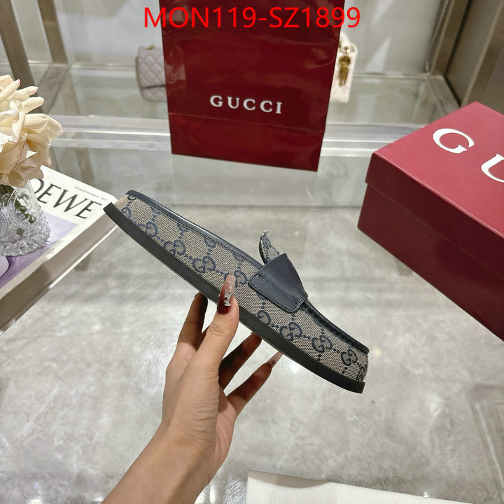 Women Shoes-Gucci high quality designer ID: SZ1899 $: 119USD