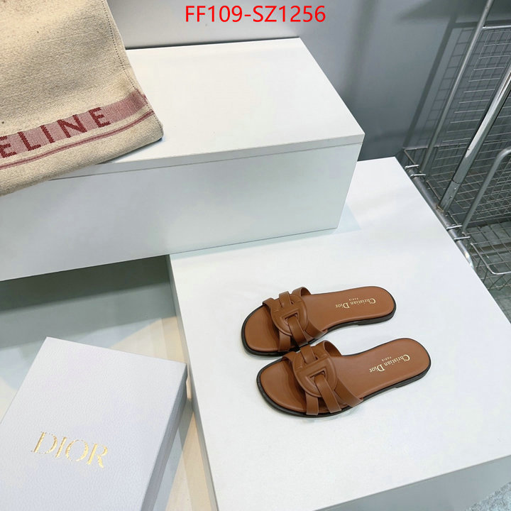 Women Shoes-Dior buying replica ID: SZ1256 $: 109USD