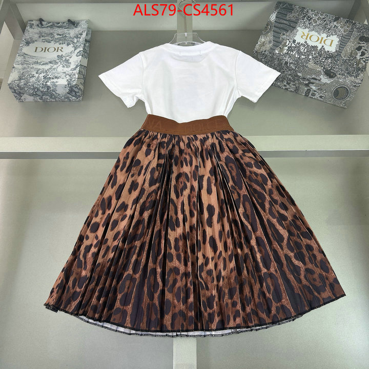 ID: CS4561