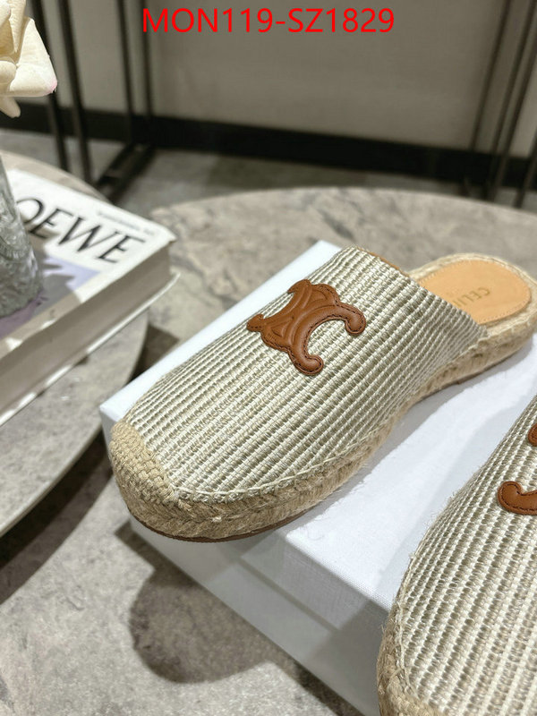 Women Shoes-CELINE what are the best replica ID: SZ1829 $: 119USD