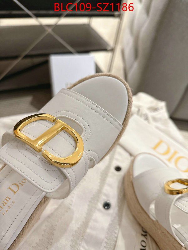 Women Shoes-Dior where to find the best replicas ID: SZ1186 $: 109USD