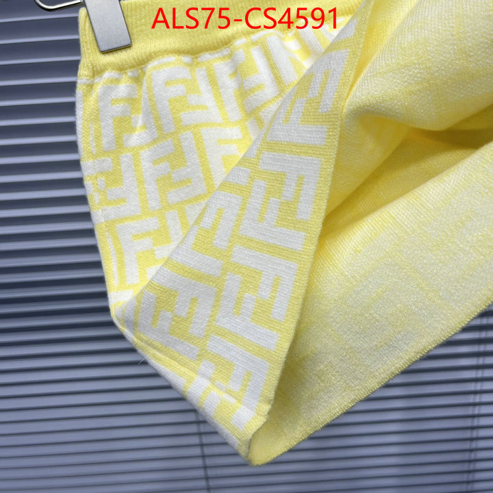 ID: CS4591