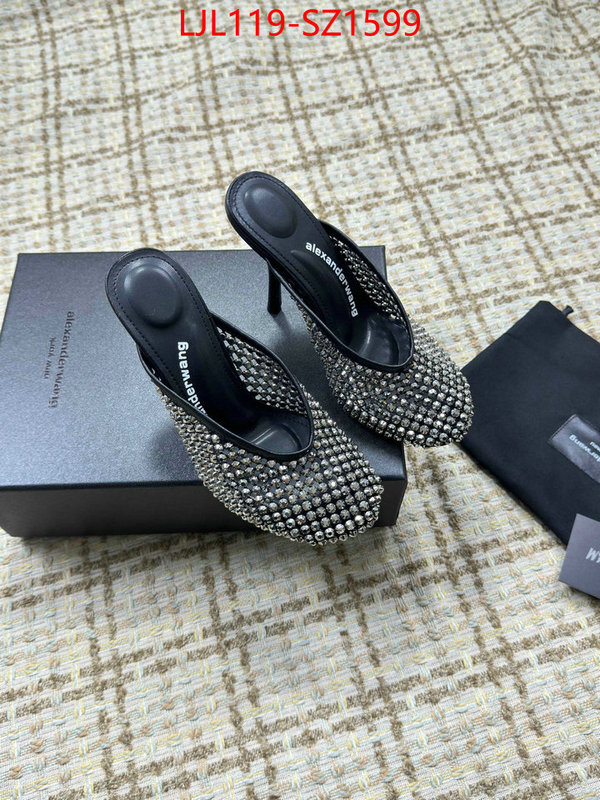 Women Shoes-Alexander Wang what is top quality replica ID: SZ1599 $: 119USD
