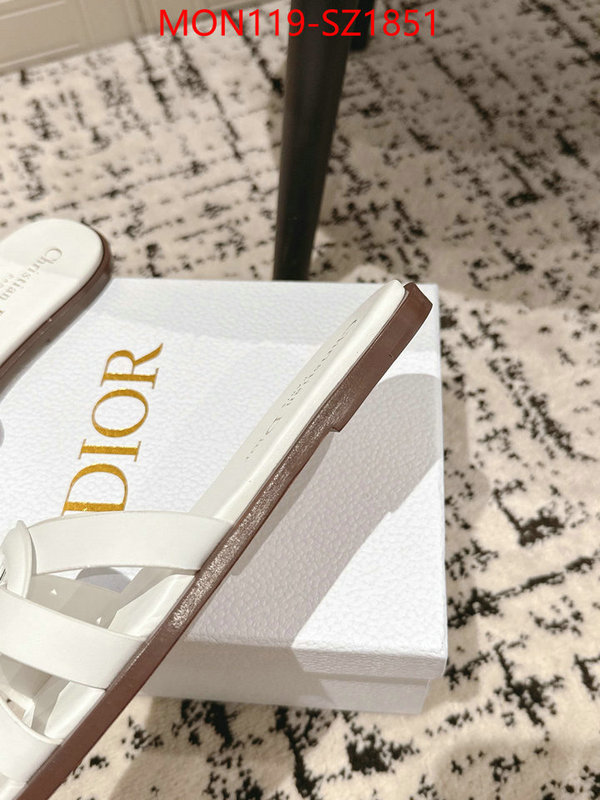 Women Shoes-Dior cheap replica designer ID: SZ1851 $: 119USD