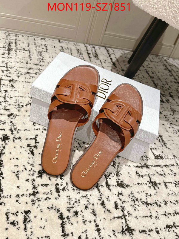 Women Shoes-Dior cheap replica designer ID: SZ1851 $: 119USD