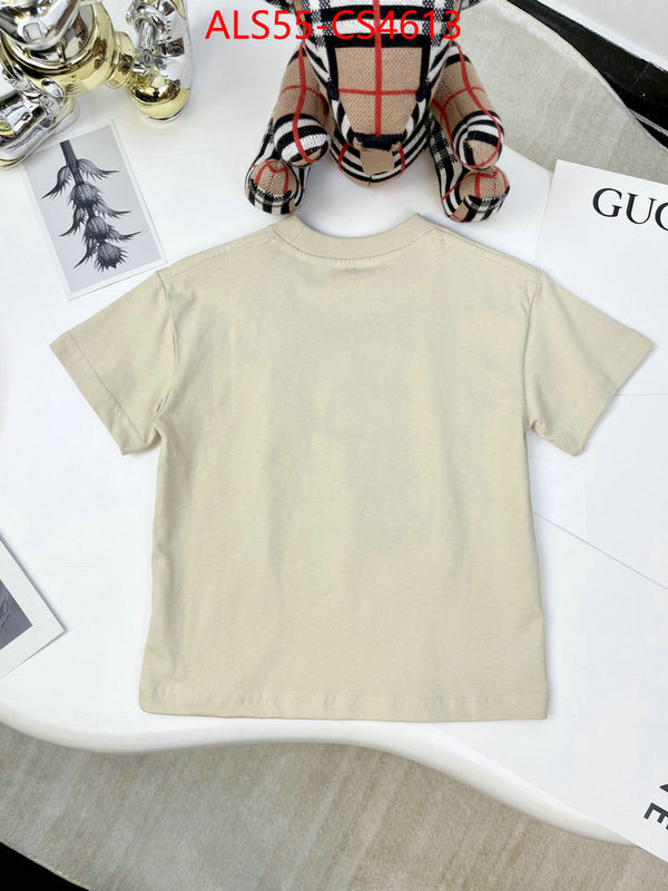 ID: CS4613