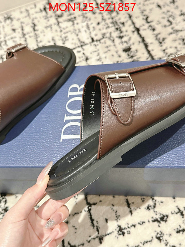 Men shoes-Dior top ID: SZ1857 $: 125USD