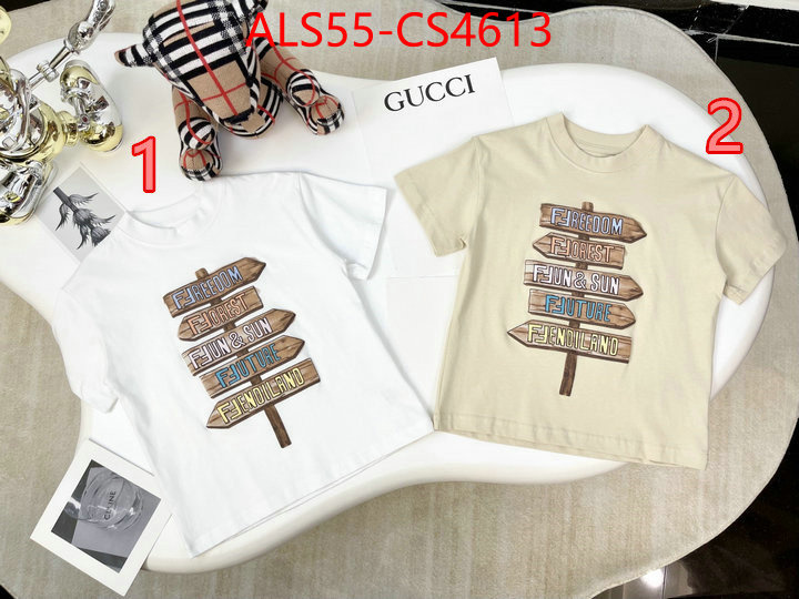 ID: CS4613