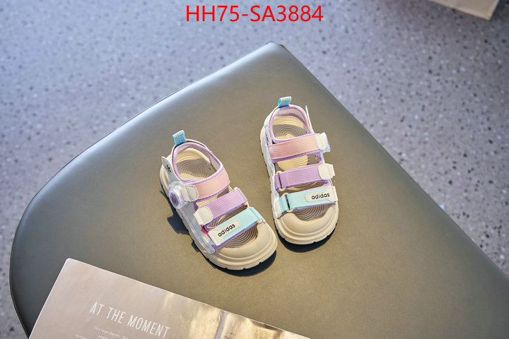 ID: SA3884