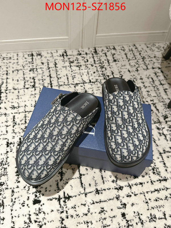 Men shoes-Dior top perfect fake ID: SZ1856 $: 125USD