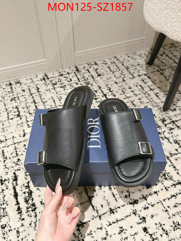 Men shoes-Dior top ID: SZ1857 $: 125USD