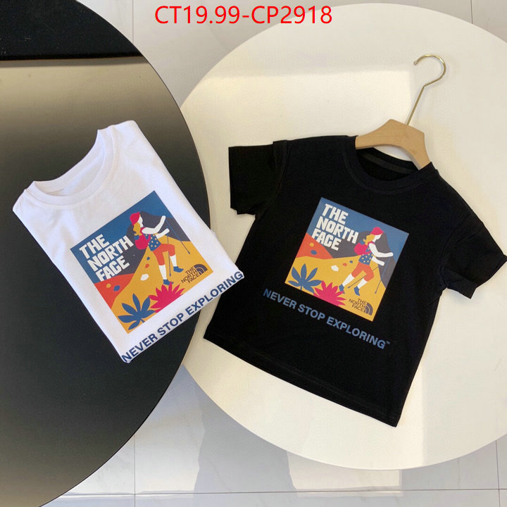 ID: CP2918