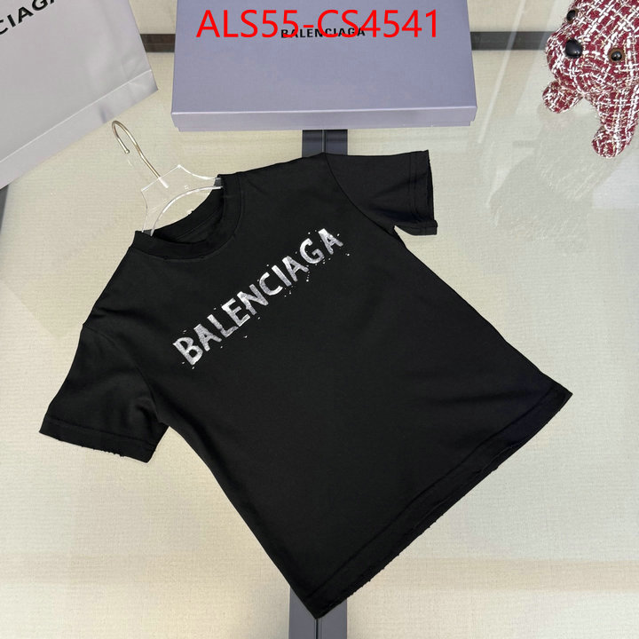 ID: CS4541
