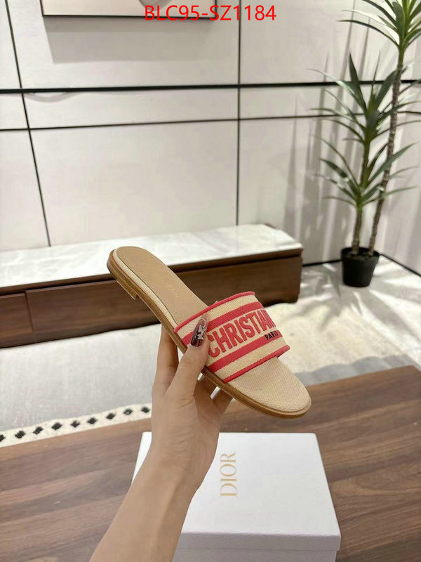 Women Shoes-Dior sell online luxury designer ID: SZ1184 $: 95USD