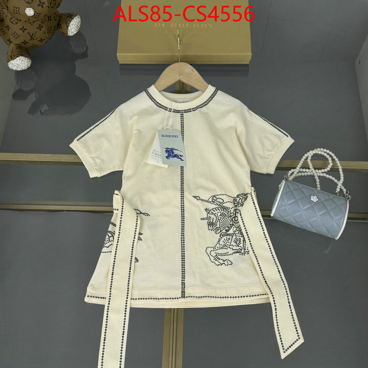 ID: CS4556