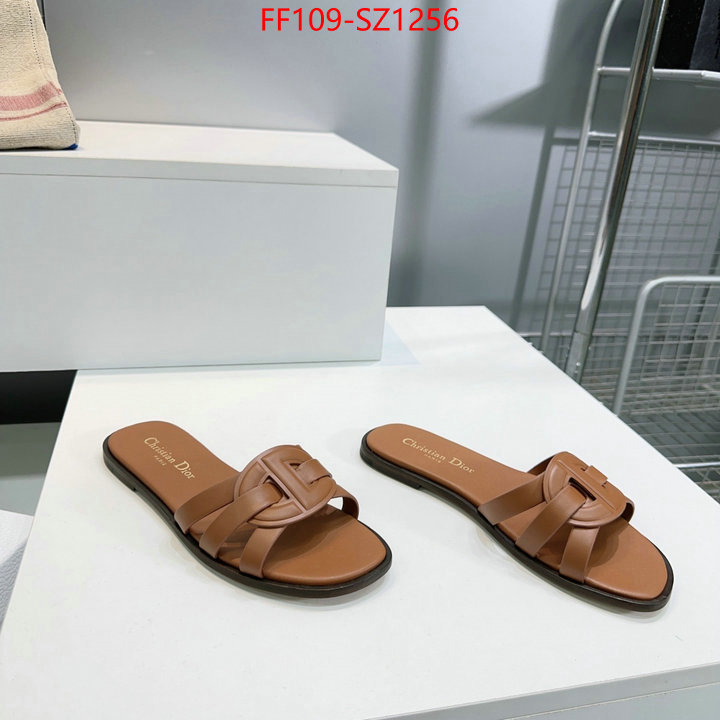 Women Shoes-Dior buying replica ID: SZ1256 $: 109USD