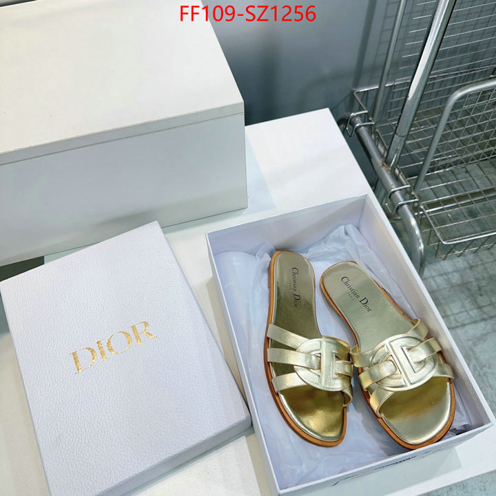 Women Shoes-Dior buying replica ID: SZ1256 $: 109USD