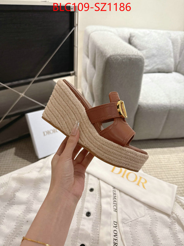 Women Shoes-Dior where to find the best replicas ID: SZ1186 $: 109USD