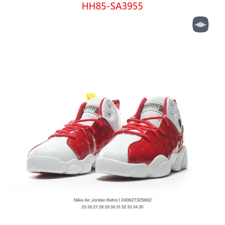 ID: SA3955