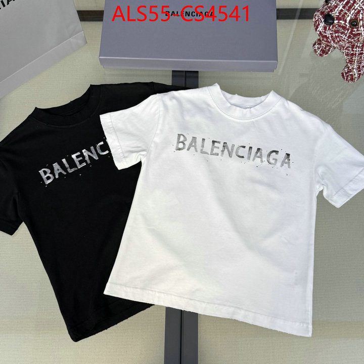 ID: CS4541