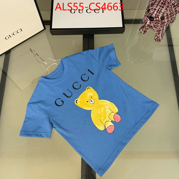ID: CS4663